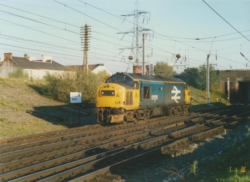 Photo of 37175 at Mossend North Jcn