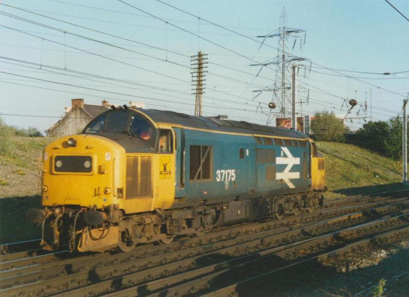 Photo of 37175 at Mossend North Jcn