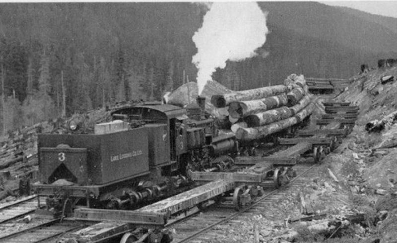 Photo of New Timber traffic on West Highland Line?