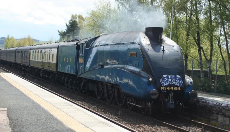 Photo of A4 Bittern as LNER 4464