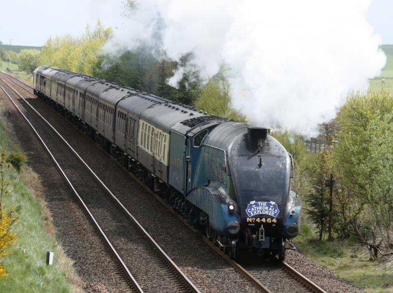 Photo of Bittern heading for Perth.