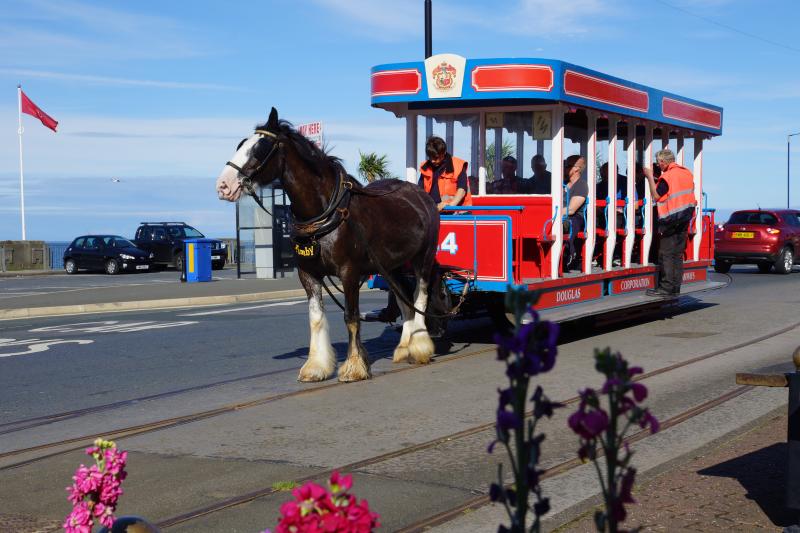 Photo of The Royal Horse Tram Isle of Man 2012