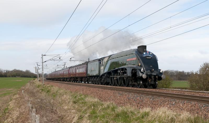 Photo of 60009