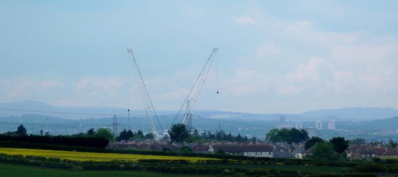 Photo of cranes