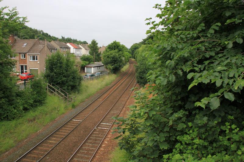 Photo of Blackford Hill needs Pruning