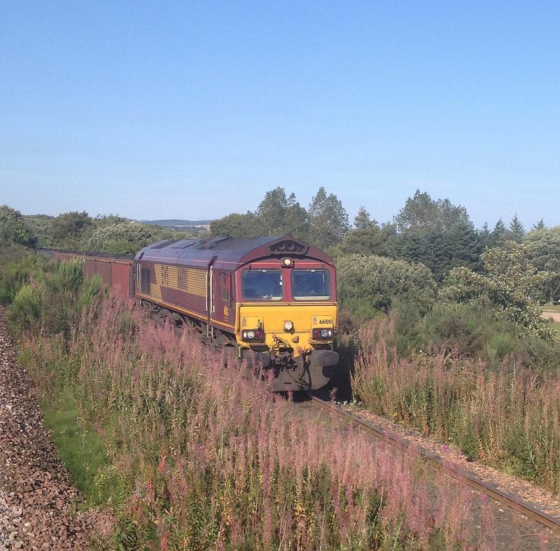 Photo of 66100 emerging at Thornton North Junction