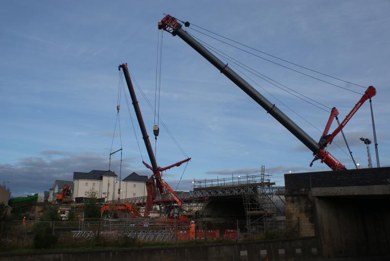 Photo of A hive of activity at Shore Road