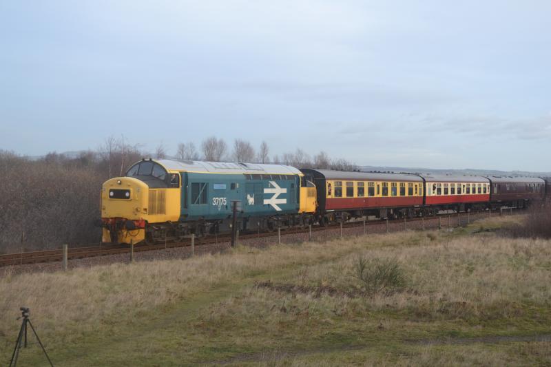 Photo of 37175