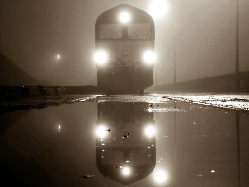 Photo of Sepia shed