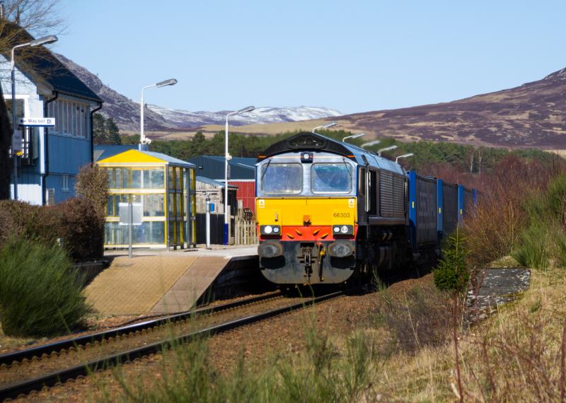 Photo of 66303