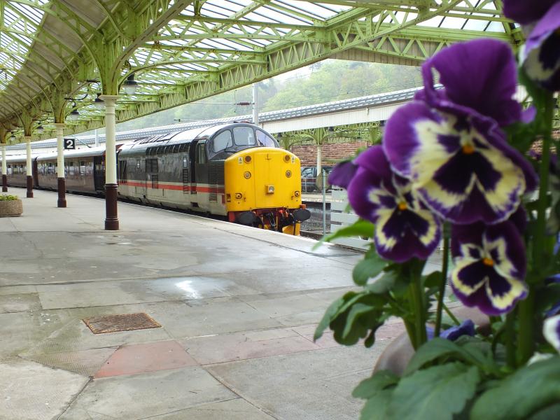 Photo of 37518 in Wemyss Bay with the Royal Scotsman 