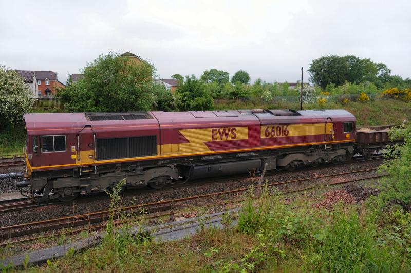 Photo of 66016 at Larbert North with a ballast train.