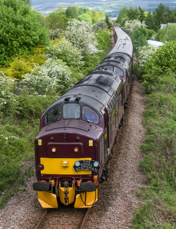 Photo of Royal Scotsman