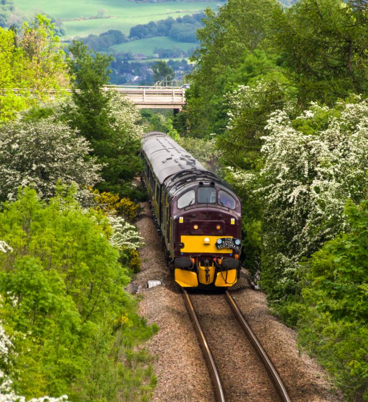 Photo of Royal Scotsman