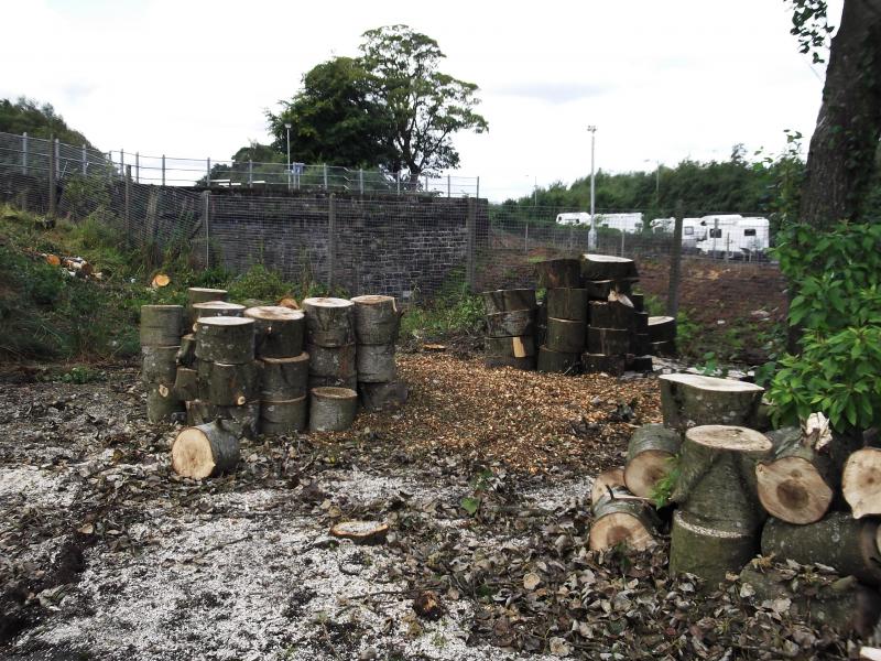 Photo of Tree cutting in progress Carmuirs Tunnels