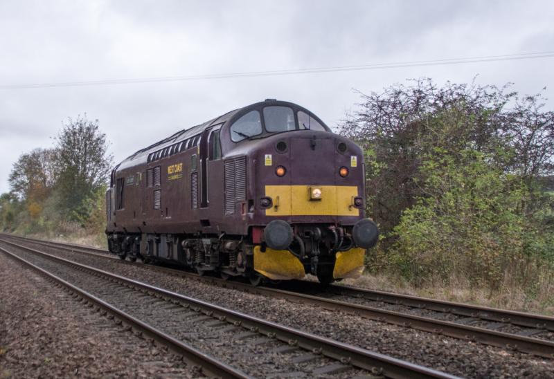 Photo of 37516