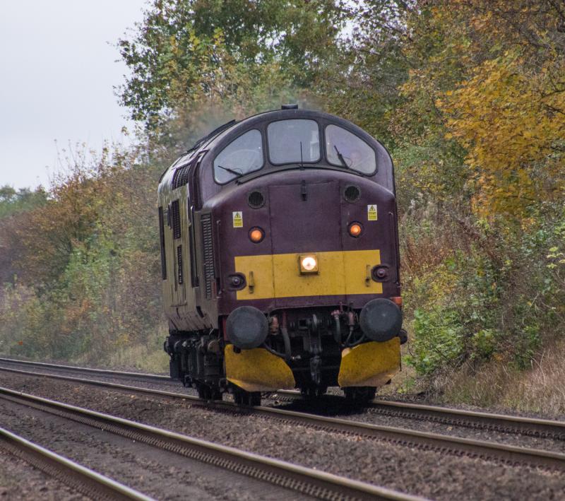 Photo of 37516