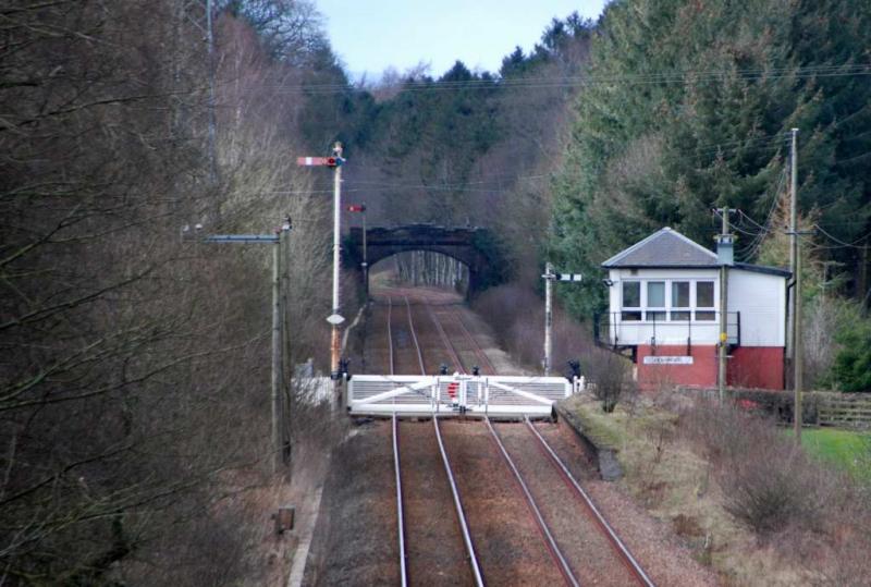 Photo of old style gates