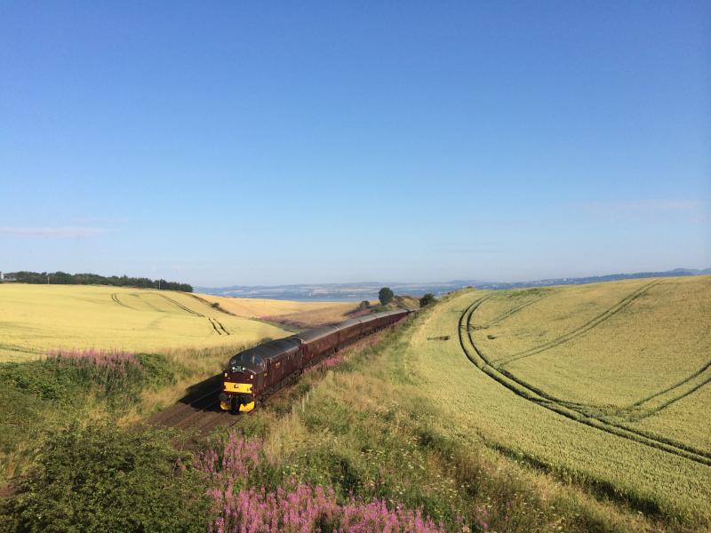 Photo of 37516 Royal Scotsman Wormit July 2014