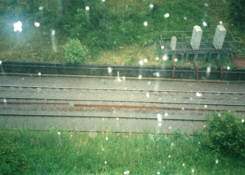 Photo of The Day Queen Street Got Flooded (2)