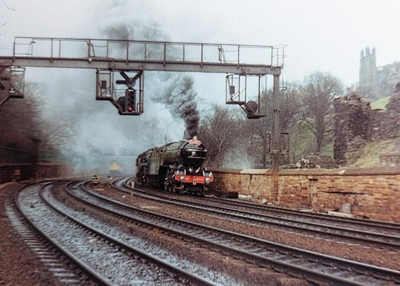 Photo of Smoke in the Gardens