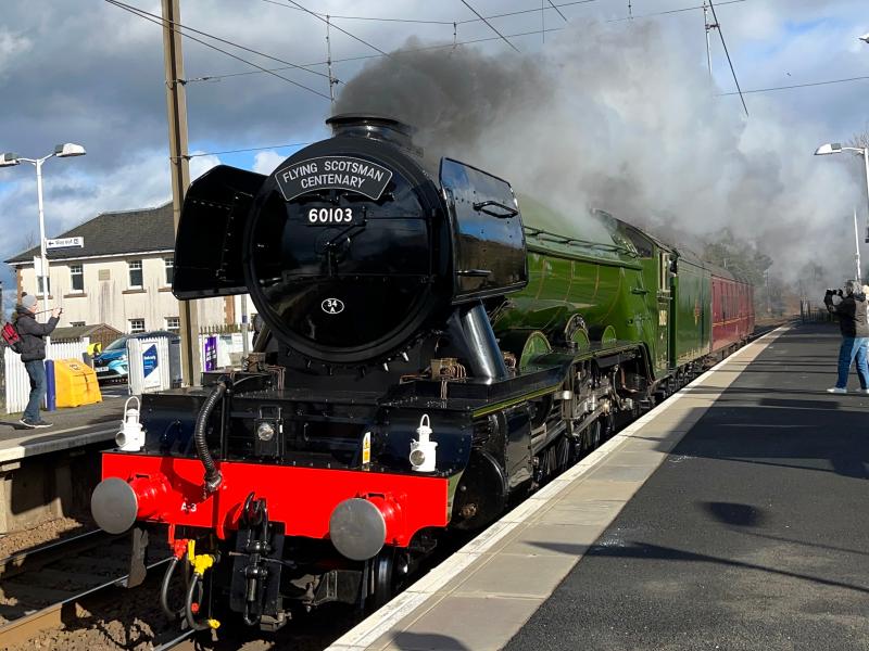 Photo of Triple Digit Scotsman