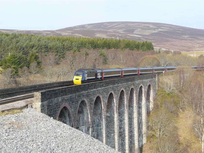 Photo of The Highland Chieftain at Slochd