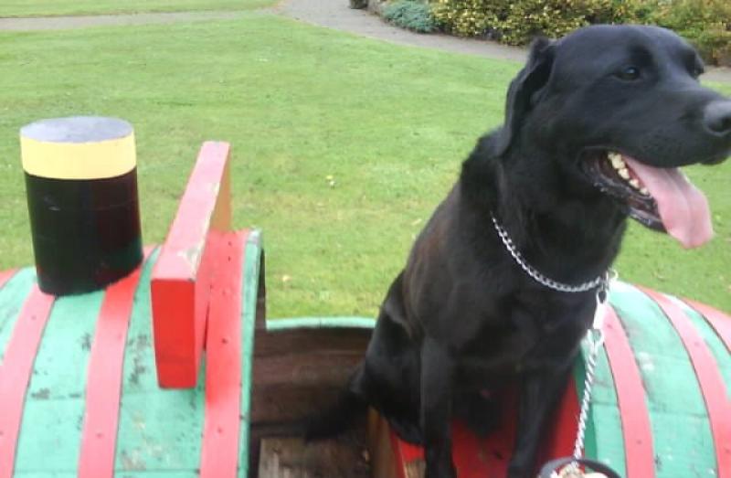 Photo of Max the train driver