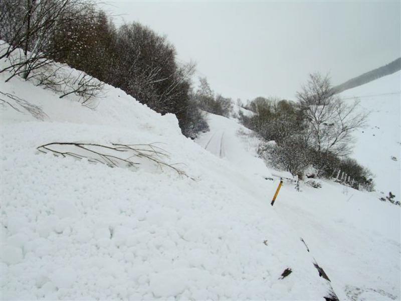 Photo of County March Avalanche