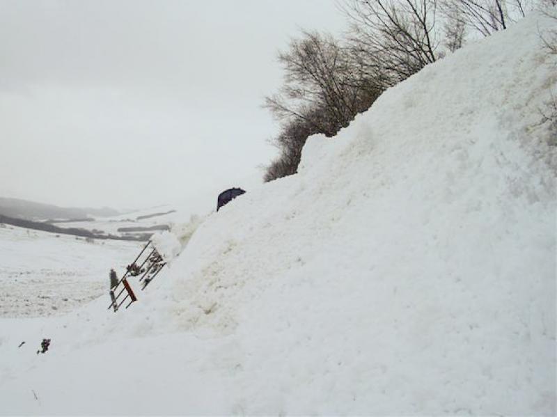 Photo of County March Avalanche