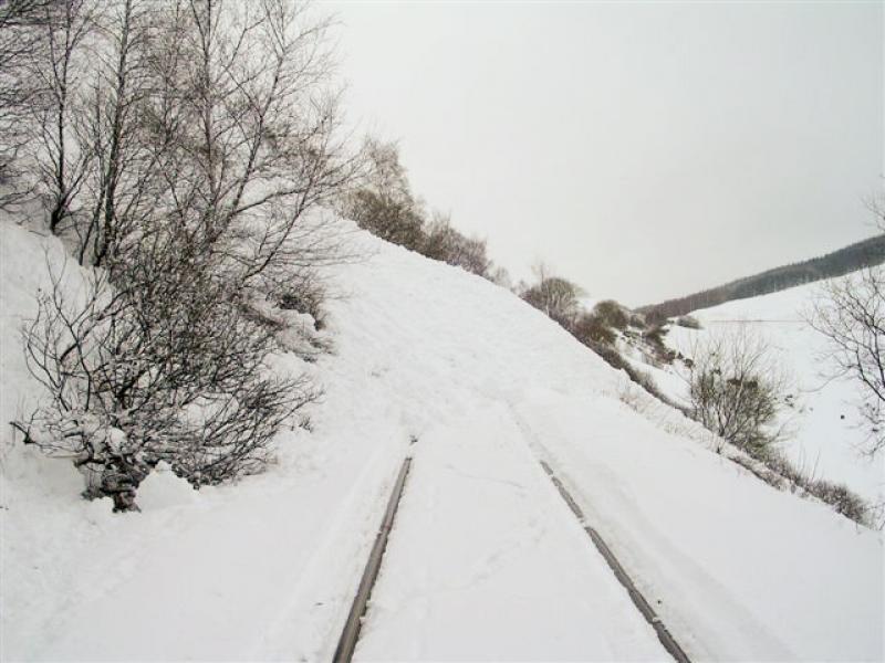 Photo of County March Avalanche