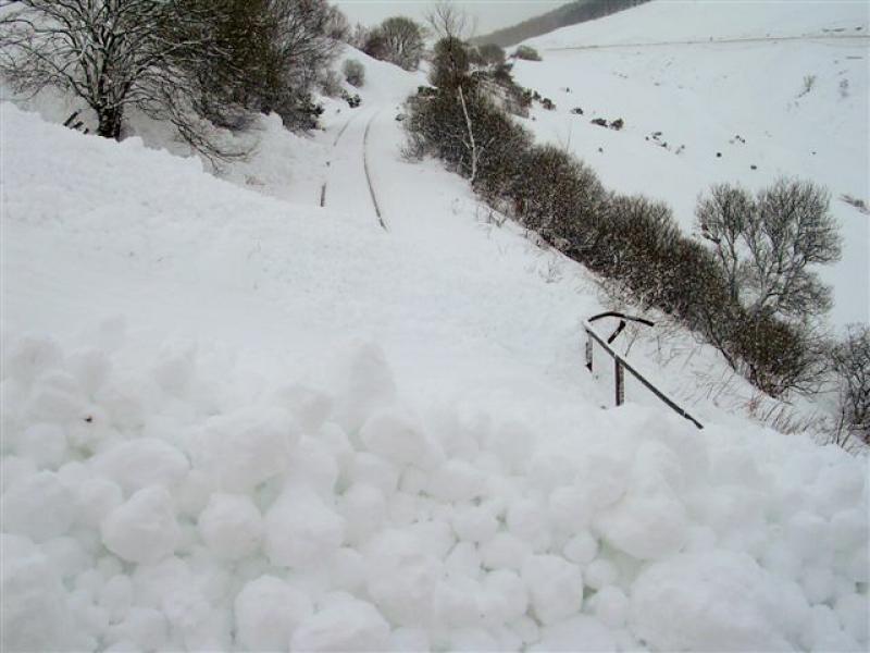 Photo of County March Avalanche