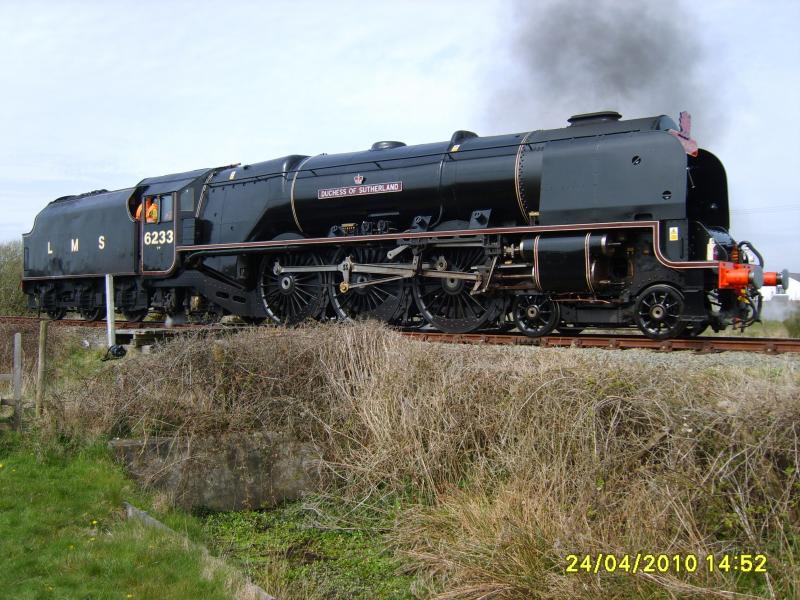 Photo of Lady  in Black.