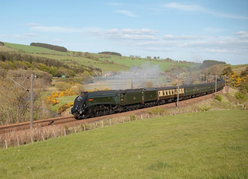 Photo of 60019 Bittern