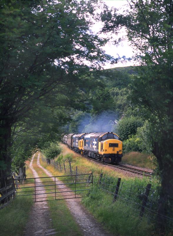 Photo of Large Logo on the West Highland