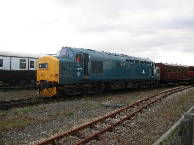 Photo of class 37 at the nrm event