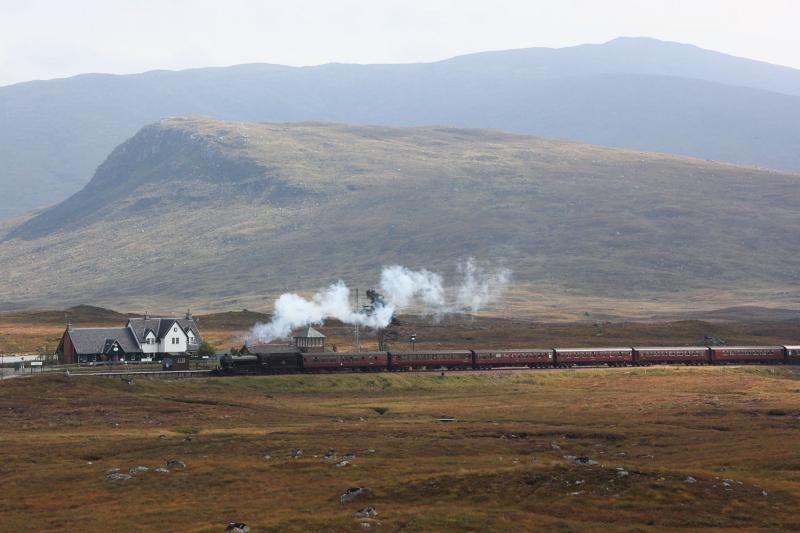 Photo of Great Marquess at Corrour