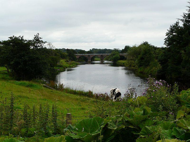 Photo of Laigh Milton Viaduct