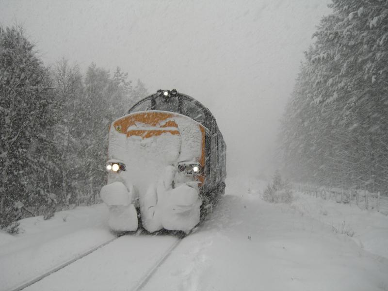 Photo of 37423 near Tomatin