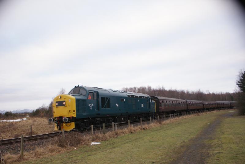 Photo of 37175 Back on Track!