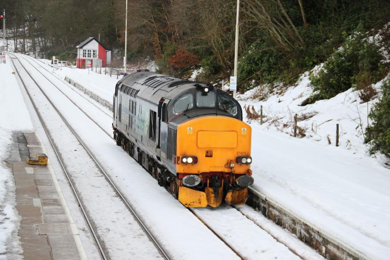 Photo of 37423 at Dunkeld & Birnam Station