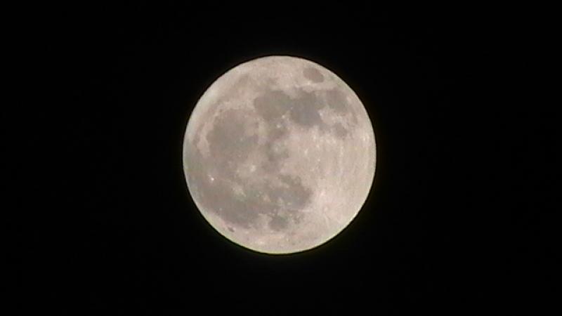 Photo of The Moon