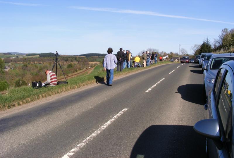 Photo of Vegetation