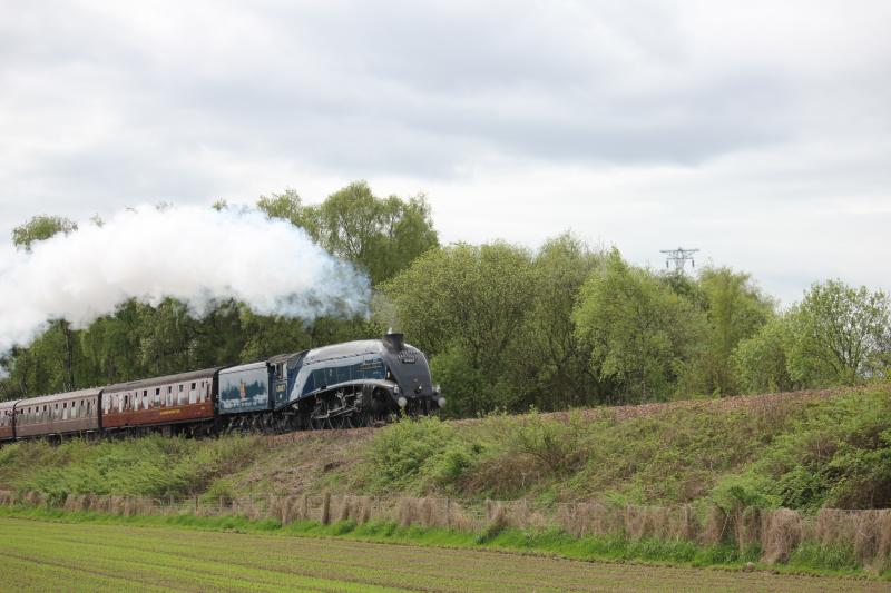 Photo of Sir Nigel Gresley - Forth Circle