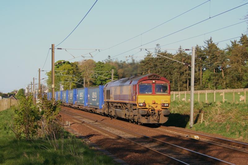 Photo of 66164 Diverted Stobart