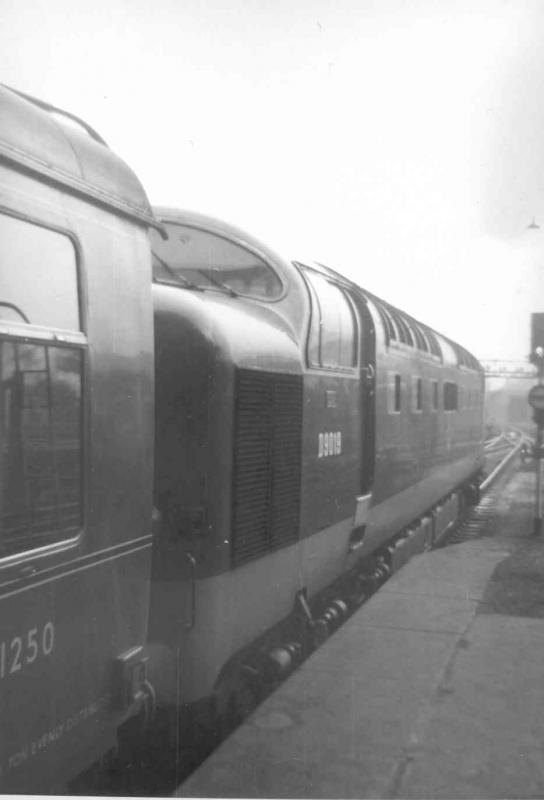 Photo of D9019 at Waverley