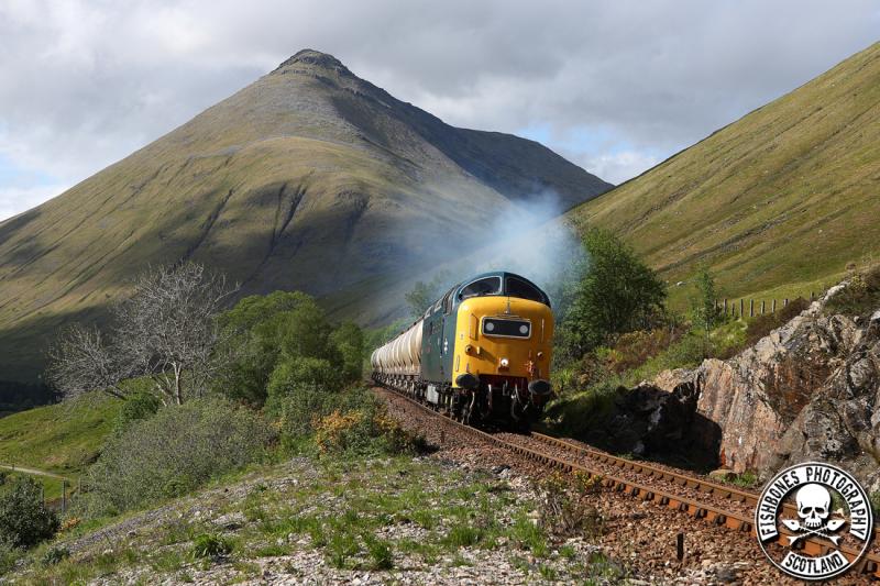 Photo of 55022 @ County March 30th May 2011